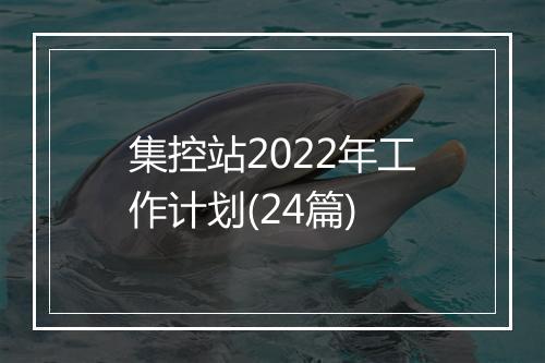 集控站2022年工作计划(24篇)