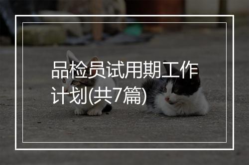 品检员试用期工作计划(共7篇)