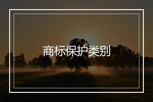 商标保护类别