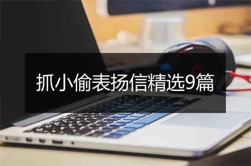 抓小偷表扬信精选9篇