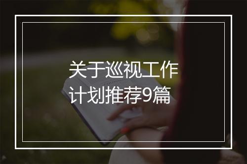 关于巡视工作计划推荐9篇