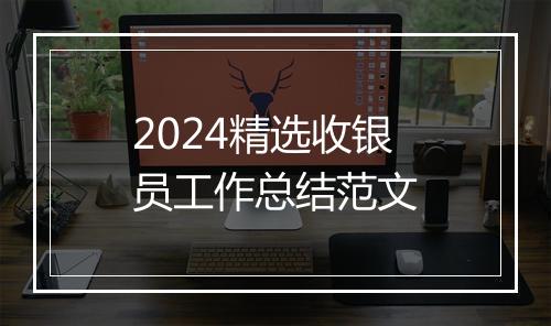 2024精选收银员工作总结范文