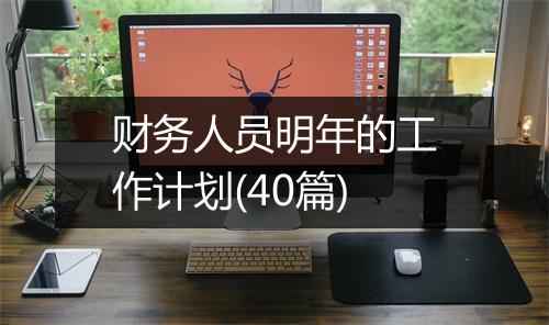 财务人员明年的工作计划(40篇)
