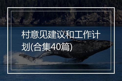 村意见建议和工作计划(合集40篇)