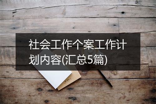 社会工作个案工作计划内容(汇总5篇)