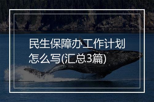 民生保障办工作计划怎么写(汇总3篇)