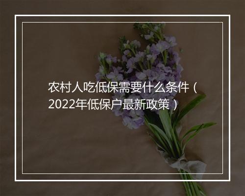 农村人吃低保需要什么条件（2022年低保户最新政策）