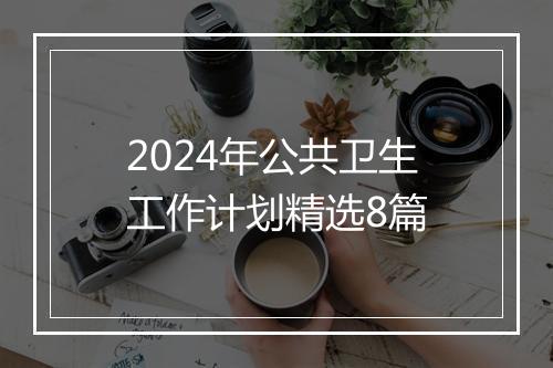 2024年公共卫生工作计划精选8篇