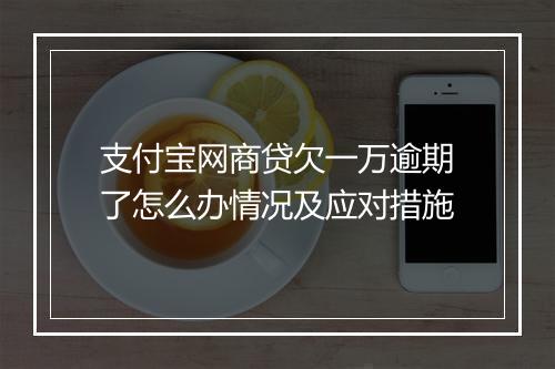 支付宝网商贷欠一万逾期了怎么办情况及应对措施
