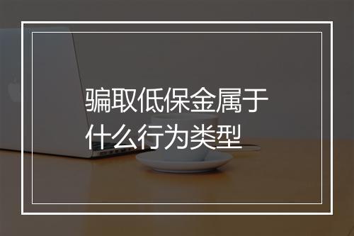 骗取低保金属于什么行为类型