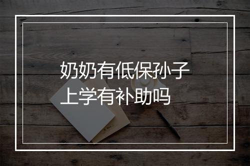 奶奶有低保孙子上学有补助吗
