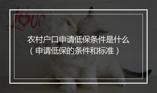 农村户口申请低保条件是什么（申请低保的条件和标准）