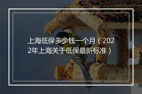 上海低保多少钱一个月（2022年上海关于低保最新标准）