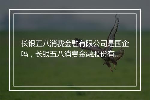 长银五八消费金融有限公司是国企吗，长银五八消费金融股份有限公司公司治理