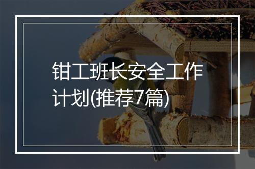钳工班长安全工作计划(推荐7篇)