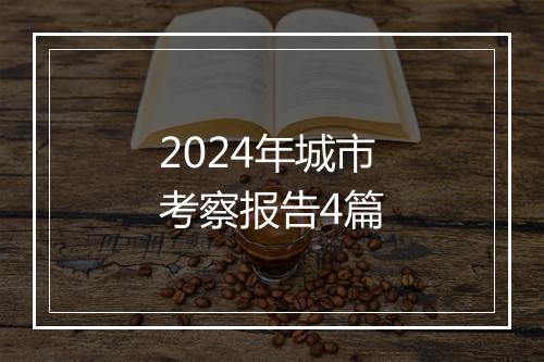 2024年城市考察报告4篇