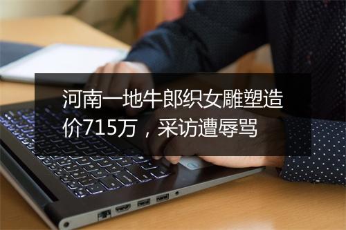 河南一地牛郎织女雕塑造价715万，采访遭辱骂