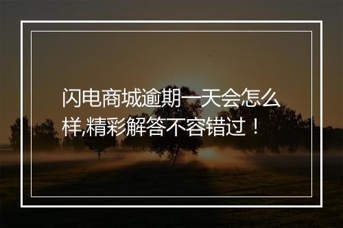 闪电商城逾期一天会怎么样,精彩解答不容错过！