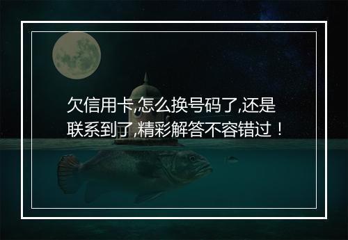 欠信用卡,怎么换号码了,还是联系到了,精彩解答不容错过！