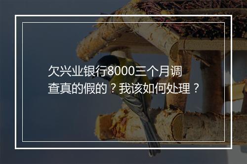 欠兴业银行8000三个月调查真的假的？我该如何处理？