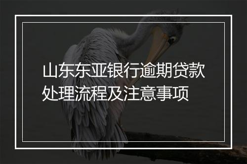 山东东亚银行逾期贷款处理流程及注意事项