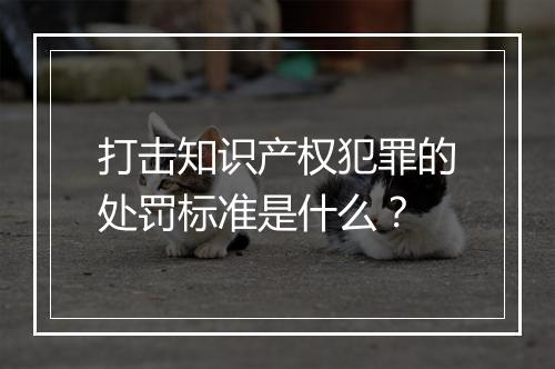打击知识产权犯罪的处罚标准是什么？