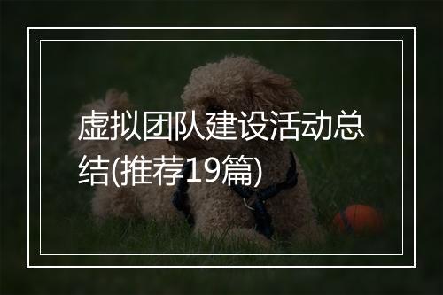 虚拟团队建设活动总结(推荐19篇)