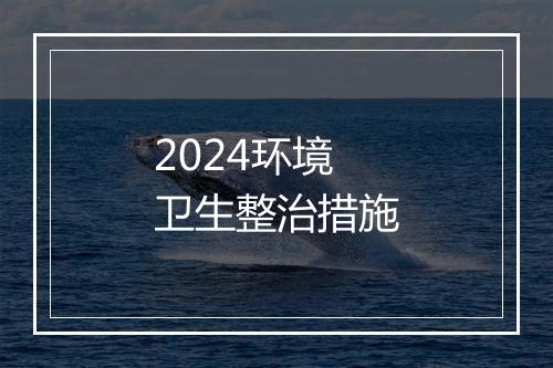 2024环境卫生整治措施