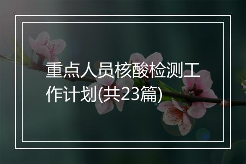 重点人员核酸检测工作计划(共23篇)