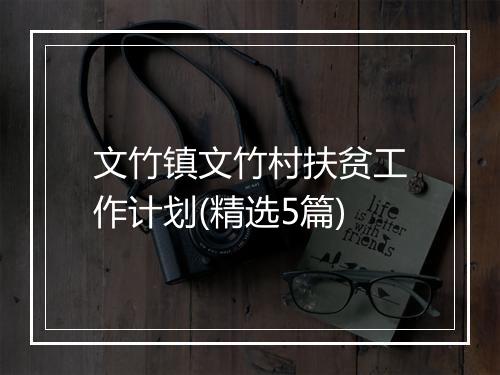 文竹镇文竹村扶贫工作计划(精选5篇)