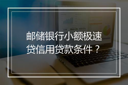 邮储银行小额极速贷信用贷款条件？