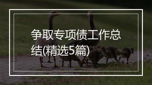 争取专项债工作总结(精选5篇)