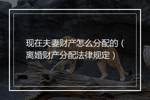 现在夫妻财产怎么分配的（离婚财产分配法律规定）