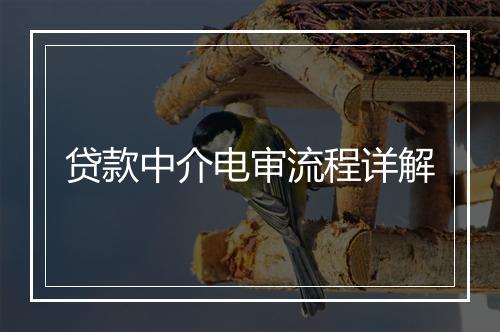贷款中介电审流程详解