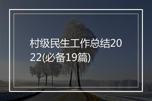 村级民生工作总结2022(必备19篇)