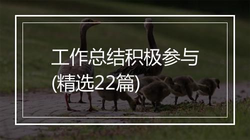 工作总结积极参与(精选22篇)