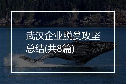武汉企业脱贫攻坚总结(共8篇)