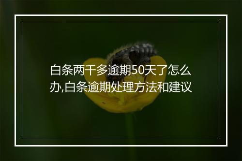 白条两千多逾期50天了怎么办,白条逾期处理方法和建议