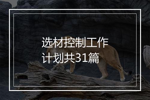 选材控制工作计划共31篇