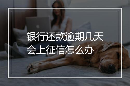 银行还款逾期几天会上征信怎么办