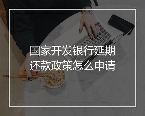 国家开发银行延期还款政策怎么申请