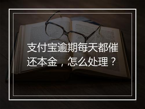 支付宝逾期每天都催还本金，怎么处理？