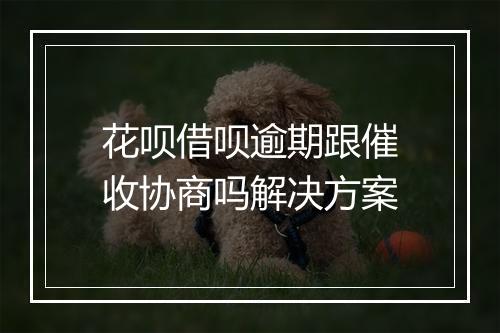 花呗借呗逾期跟催收协商吗解决方案