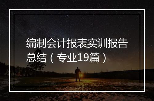 编制会计报表实训报告总结（专业19篇）
