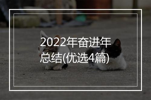 2022年奋进年总结(优选4篇)