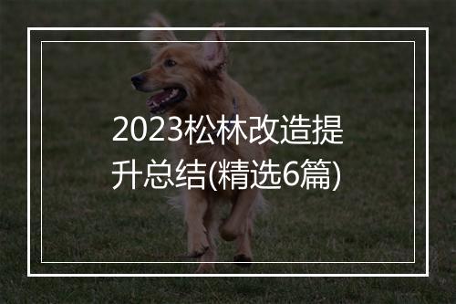 2023松林改造提升总结(精选6篇)