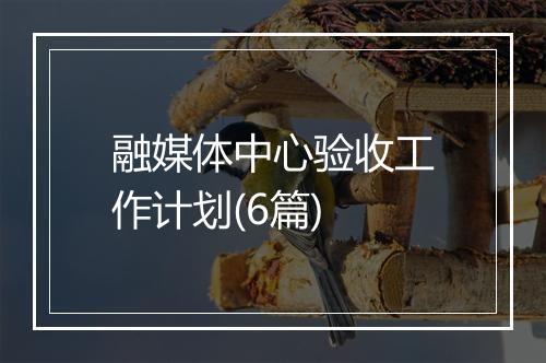 融媒体中心验收工作计划(6篇)