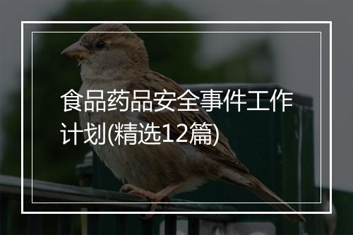 食品药品安全事件工作计划(精选12篇)