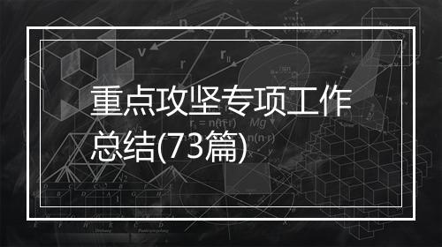 重点攻坚专项工作总结(73篇)
