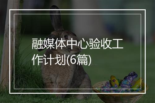 融媒体中心验收工作计划(6篇)